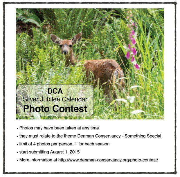 Photo contest Poster